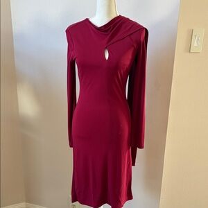 BCBGMaxAzria Burgundy red Long Sleeve Dress.